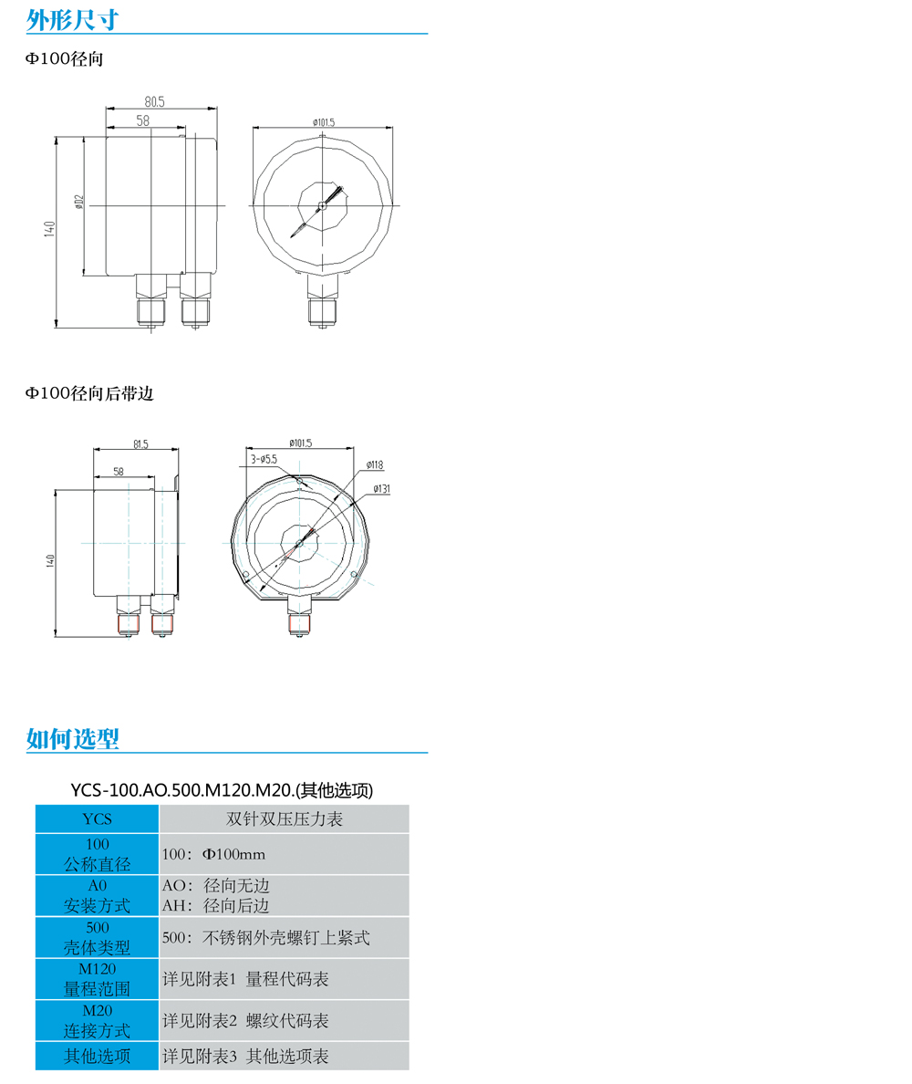 雙針雙管差壓表YCS-02.jpg