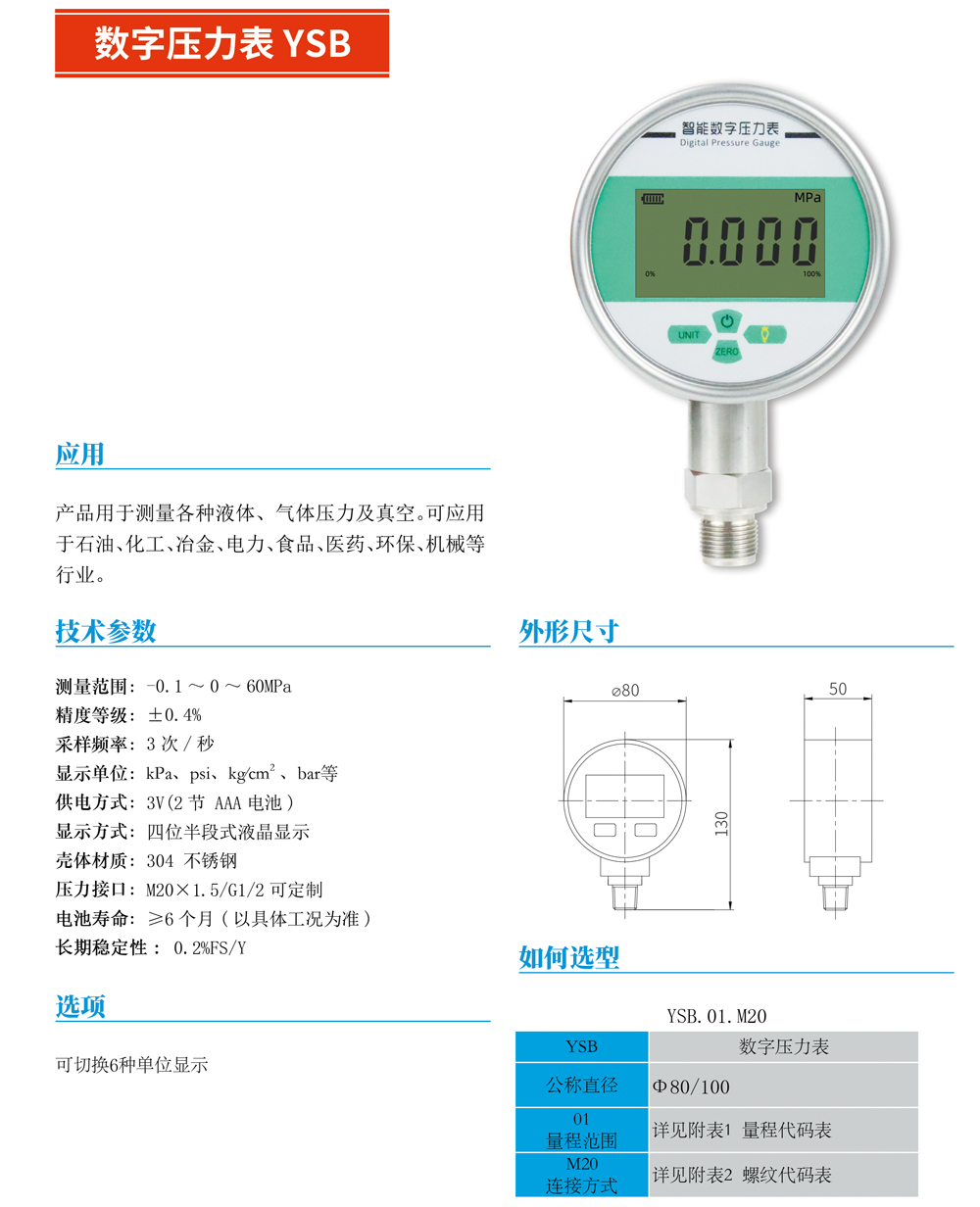 數(shù)字壓力表YSB-01.jpg
