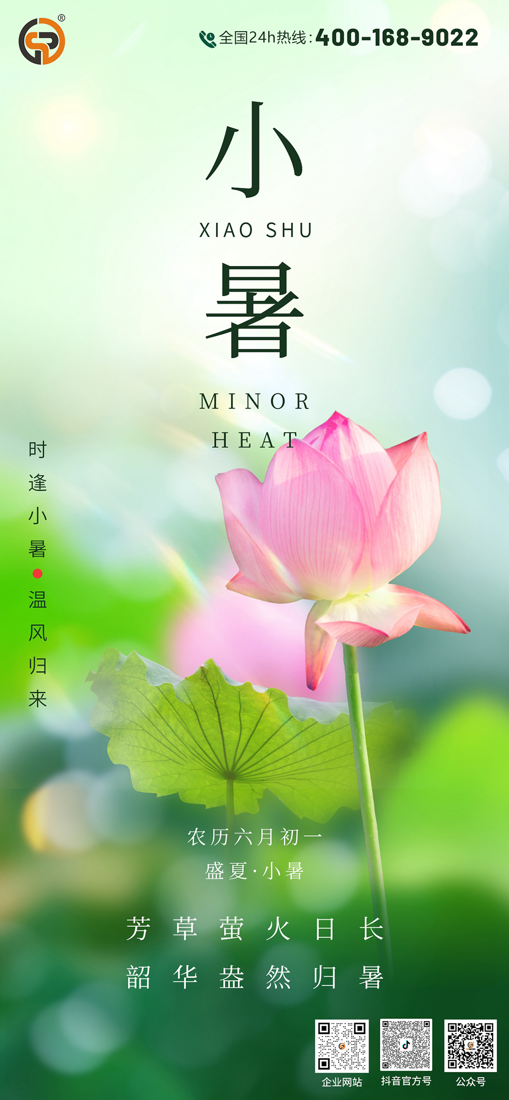 小暑.jpg