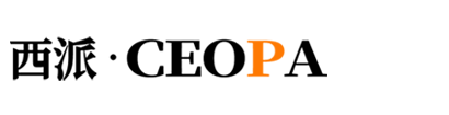 安徽西派儀表有限公司